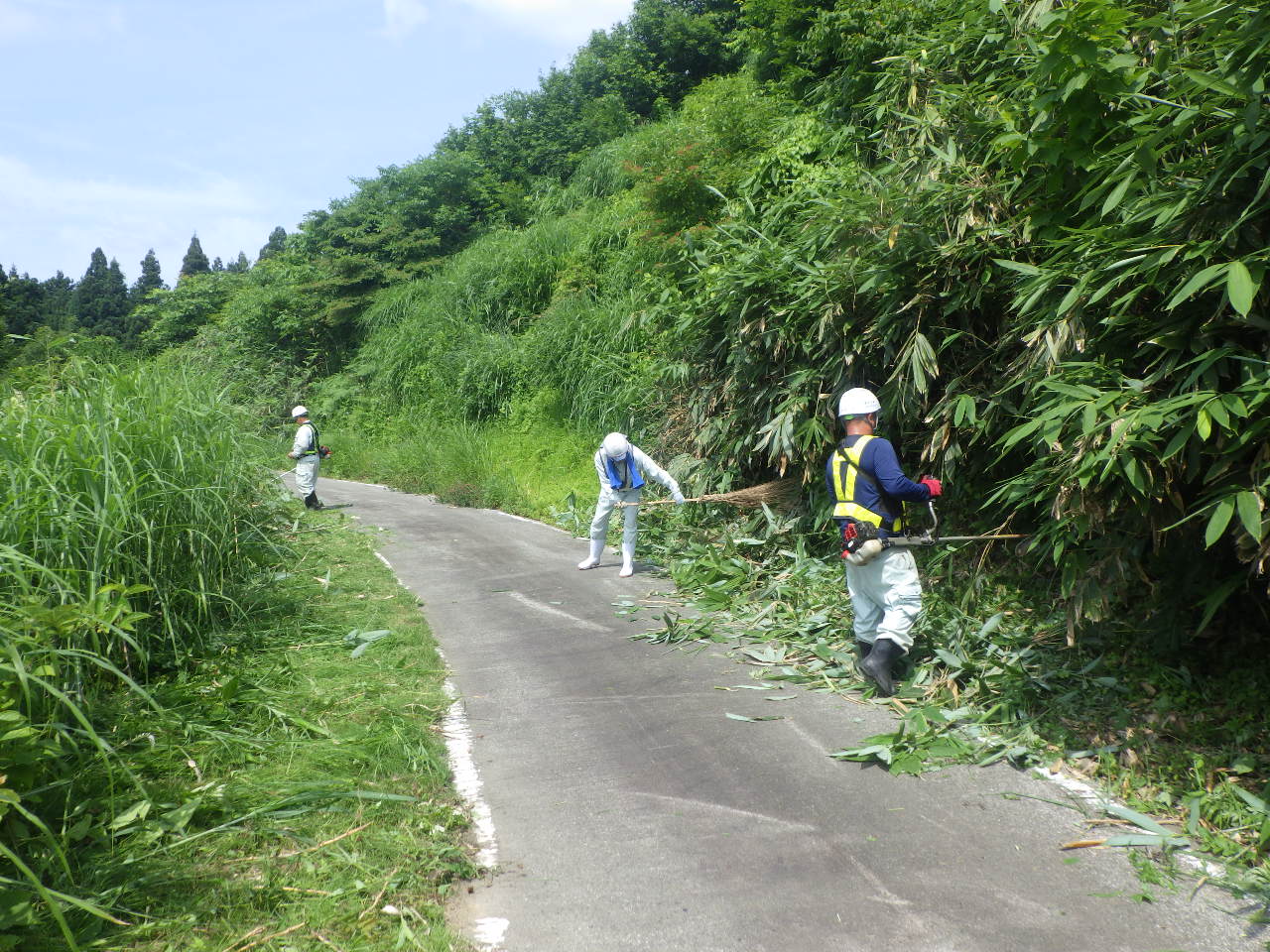 水沢新田種苧原線 道路除草（水沢）